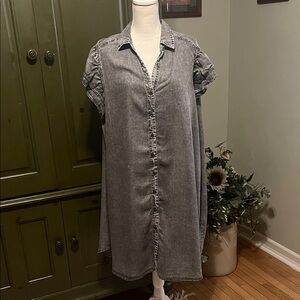 Jane + Delancey Gray Acid Wash Denim Shirt Dress with Ruffled Sleeve, NWT, 3X